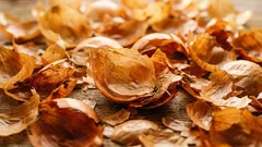 Cibulové slupky místo výrobků z obchodu: jak je využít na zahradě